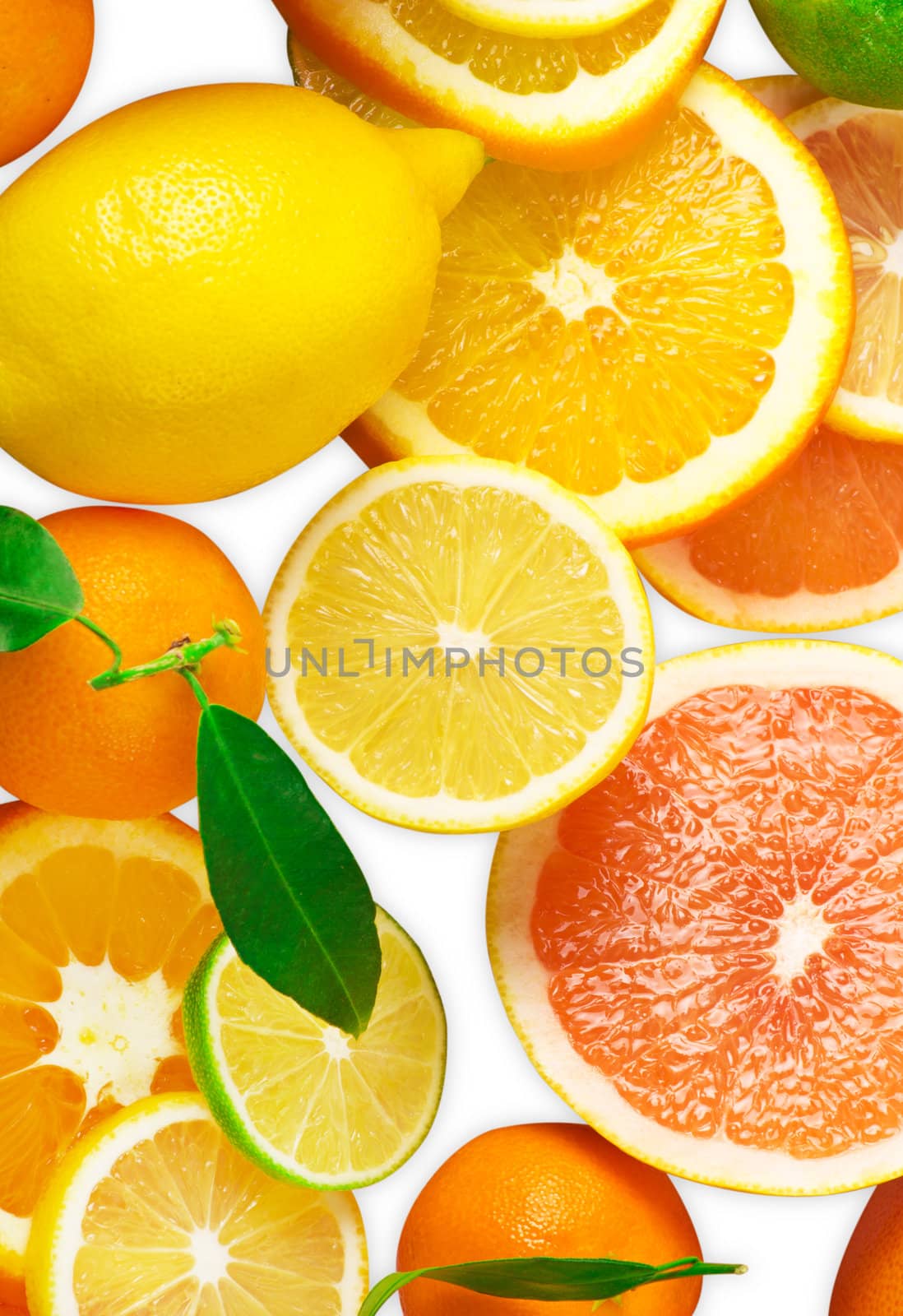 Mix of sitrus slice isolated on white