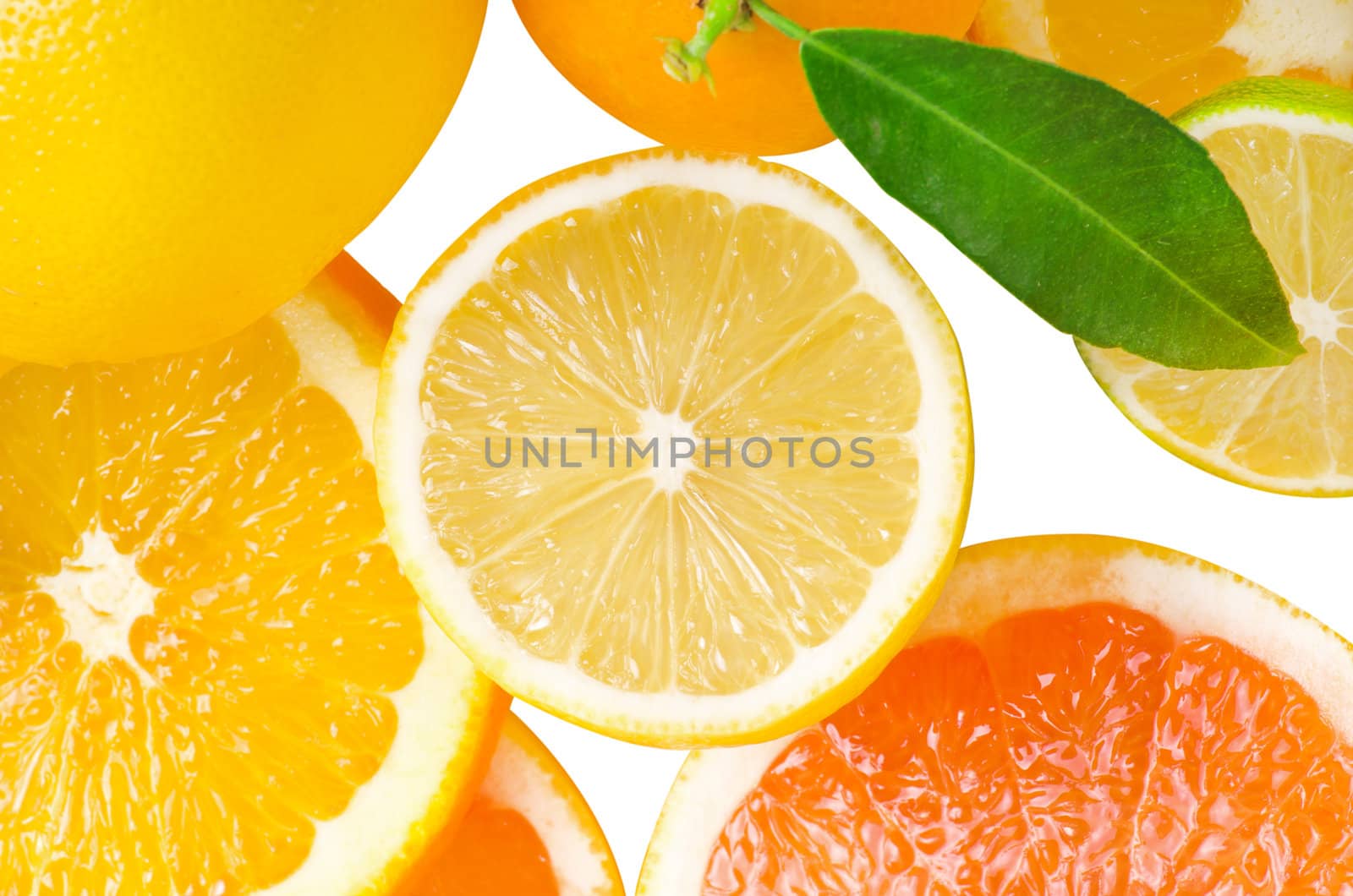 Mix of citrus slice isolated on white