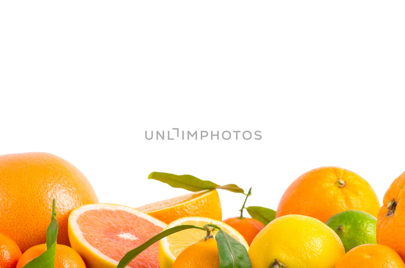 Fruits citrus on white