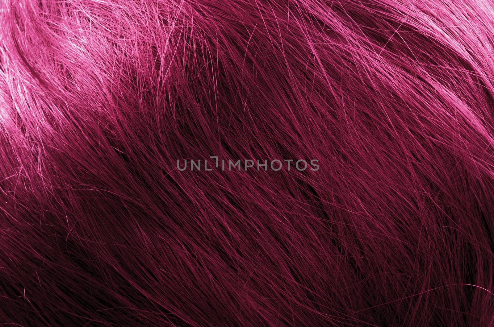 Hair