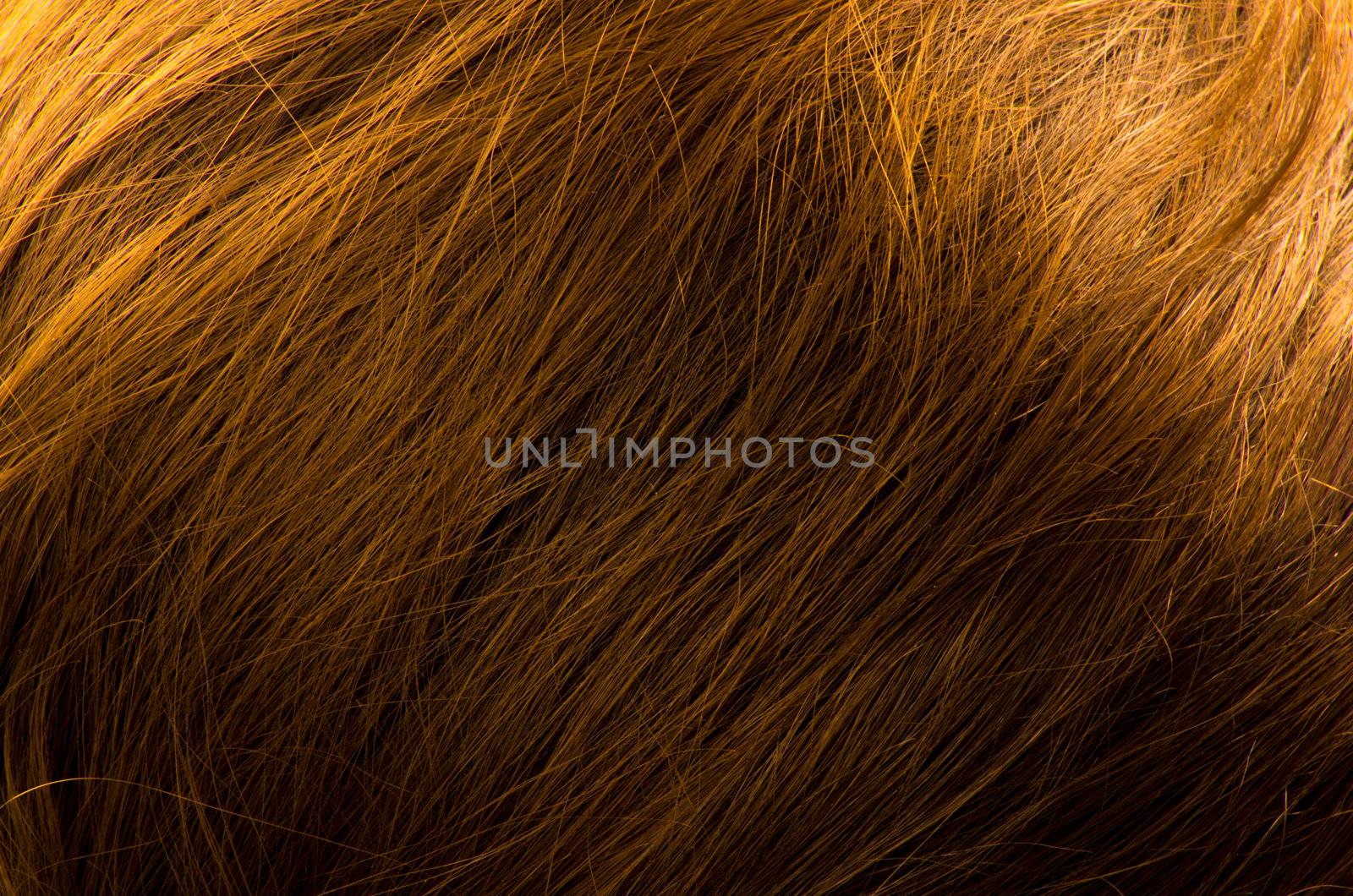 Hair