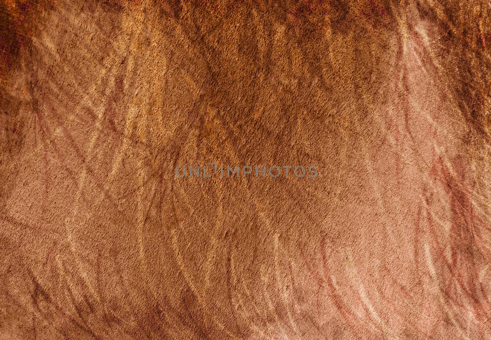 Texture