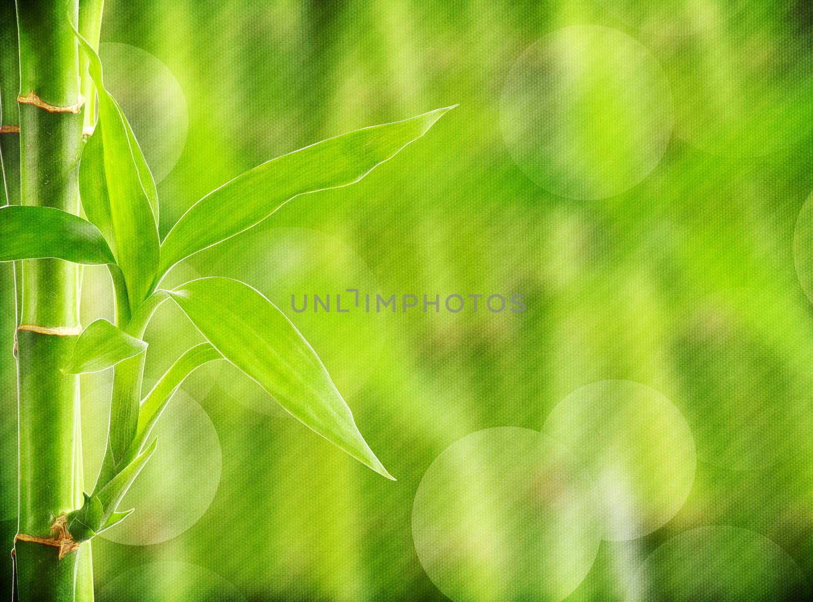 grunge bamboo background