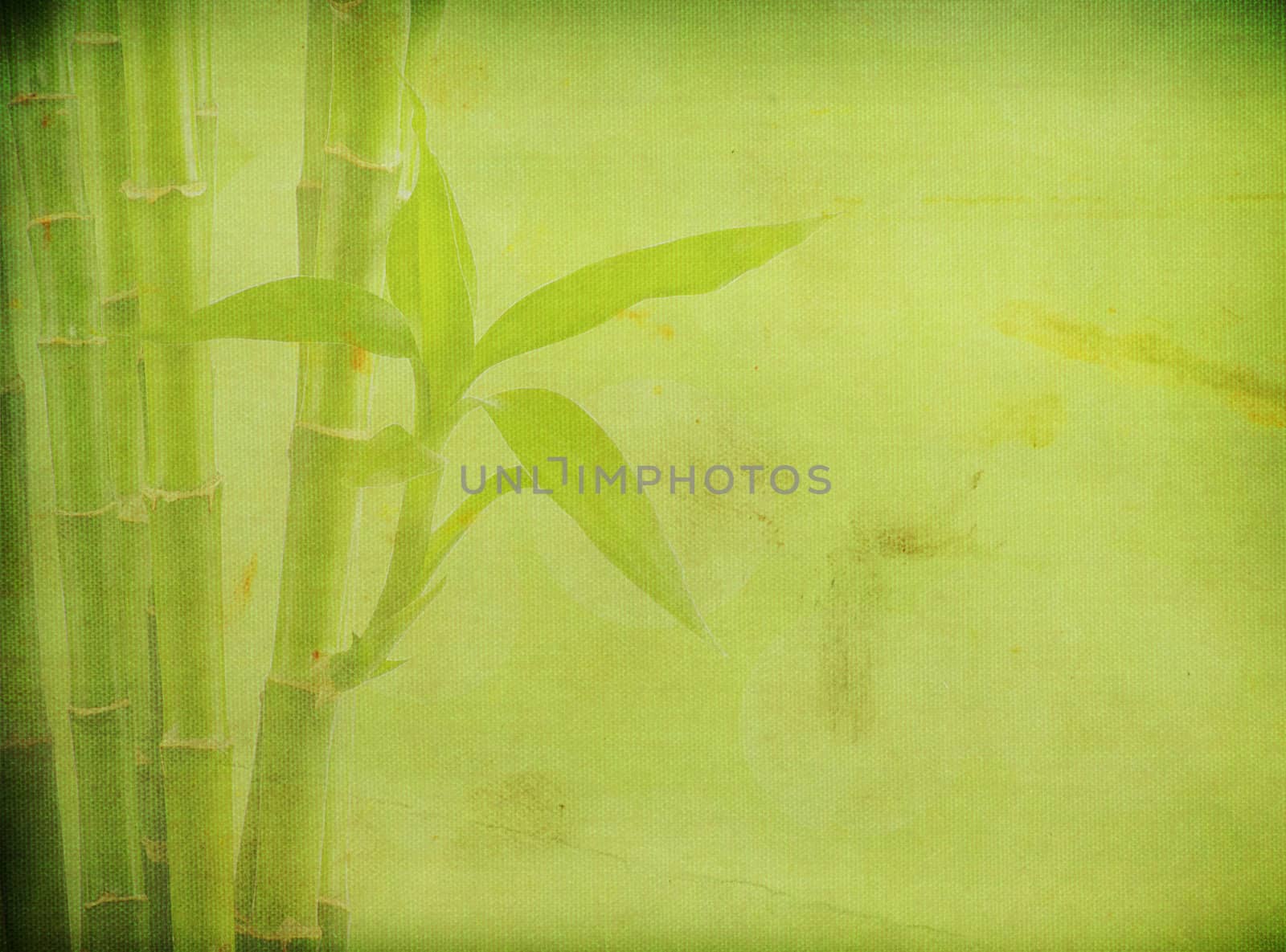grunge bamboo background