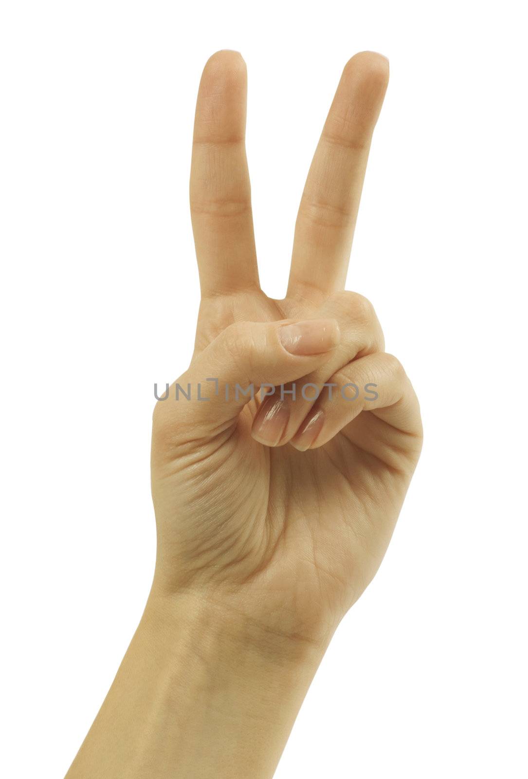 Hand with two fingers up in the peace or victory symbol. Also the sign for the letter V in sign language. Isolated on white.