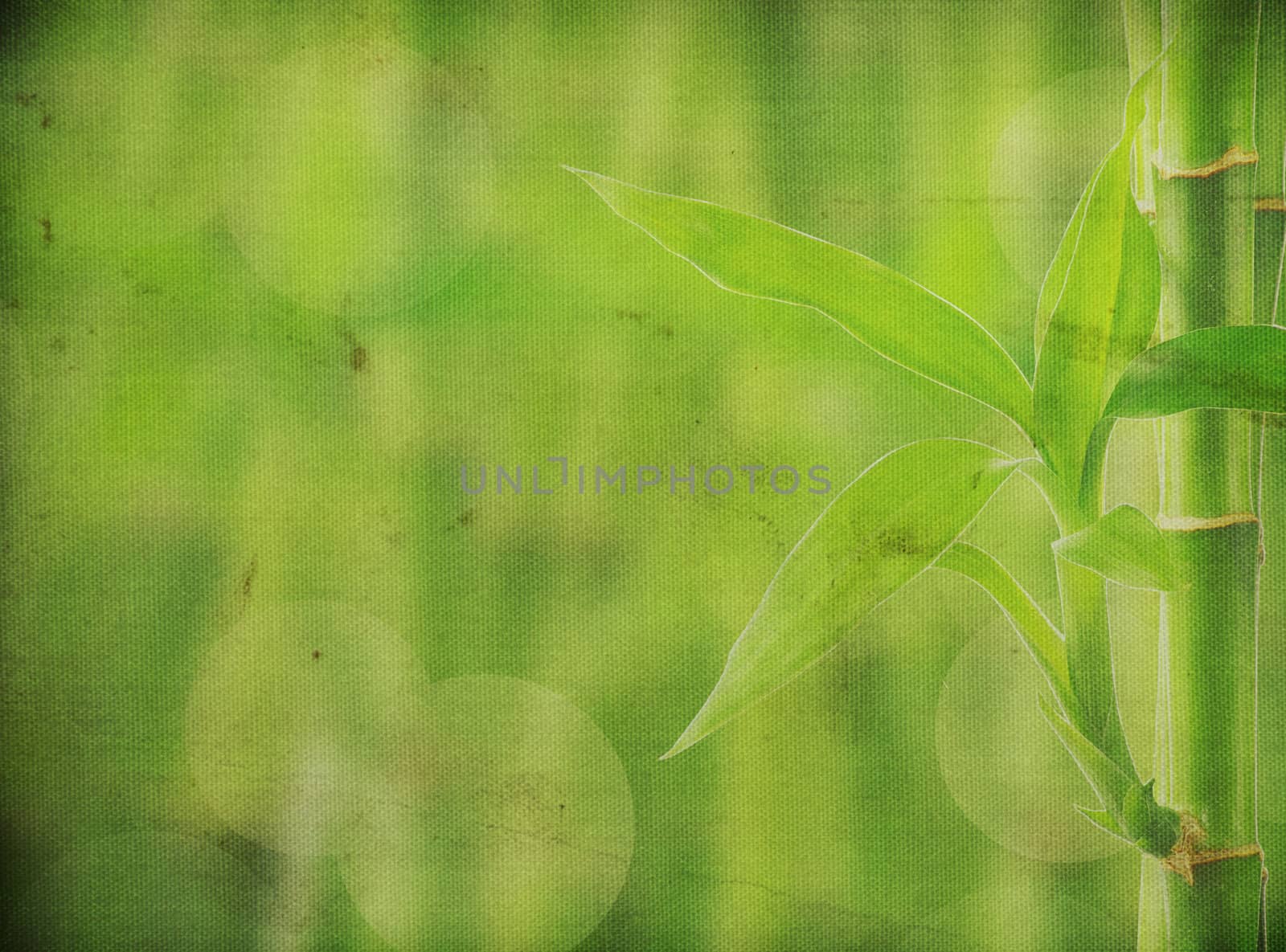 grunge bamboo background