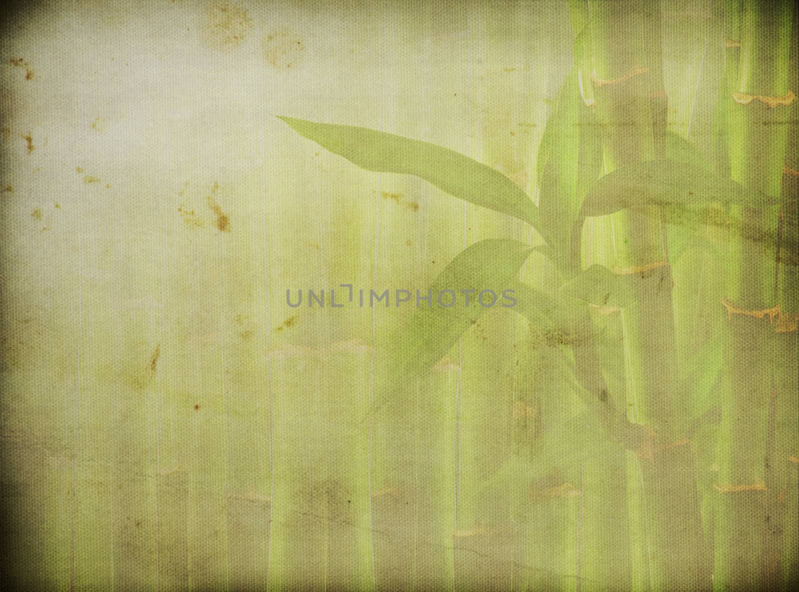 grunge bamboo background