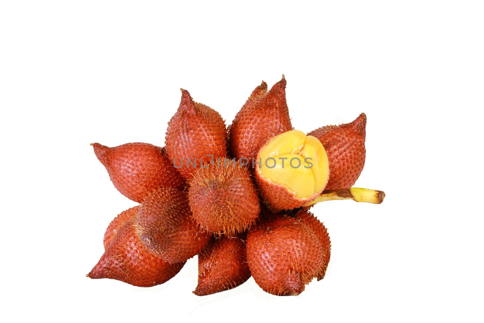 Sala or Zalacca, sweet and sour fruit from Thailand isolated on