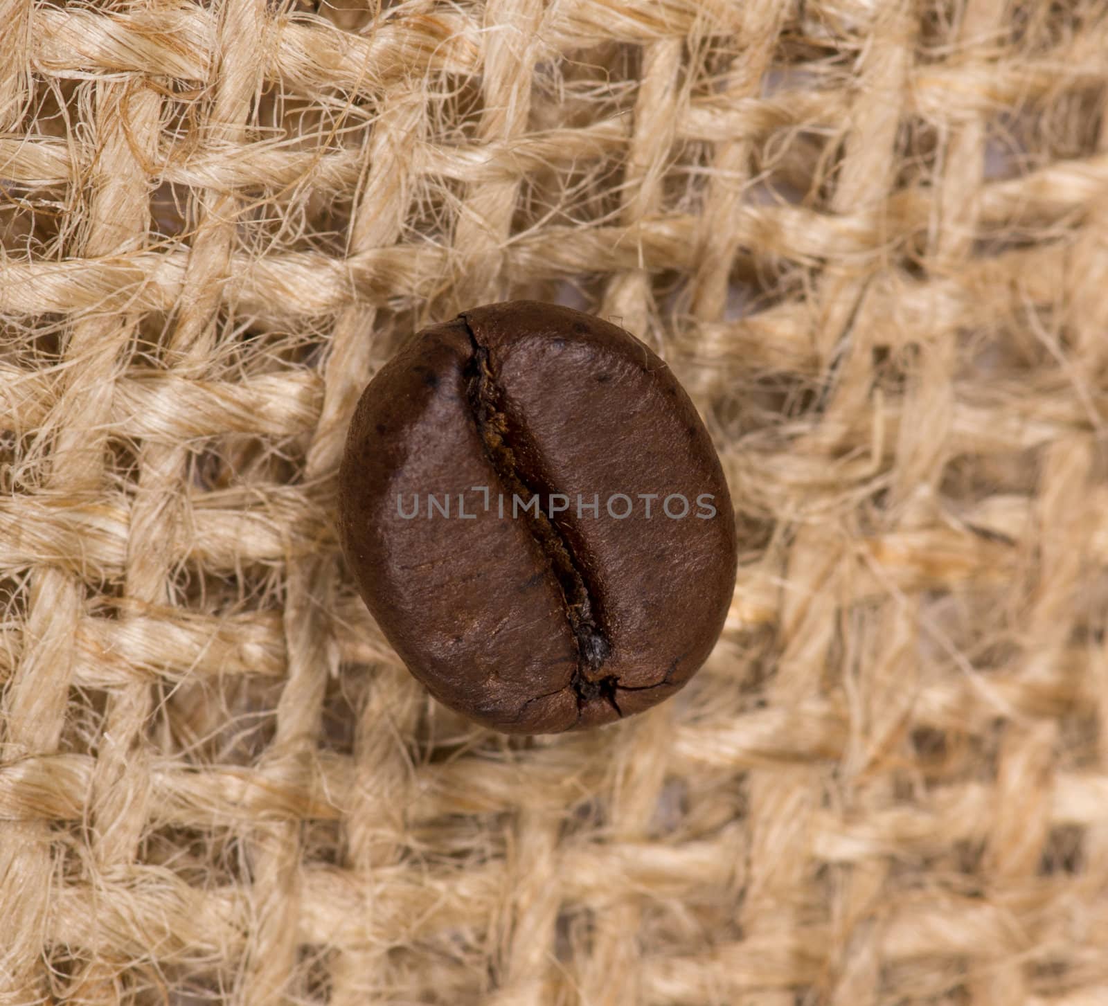 Coffee bean on sack(burlap)