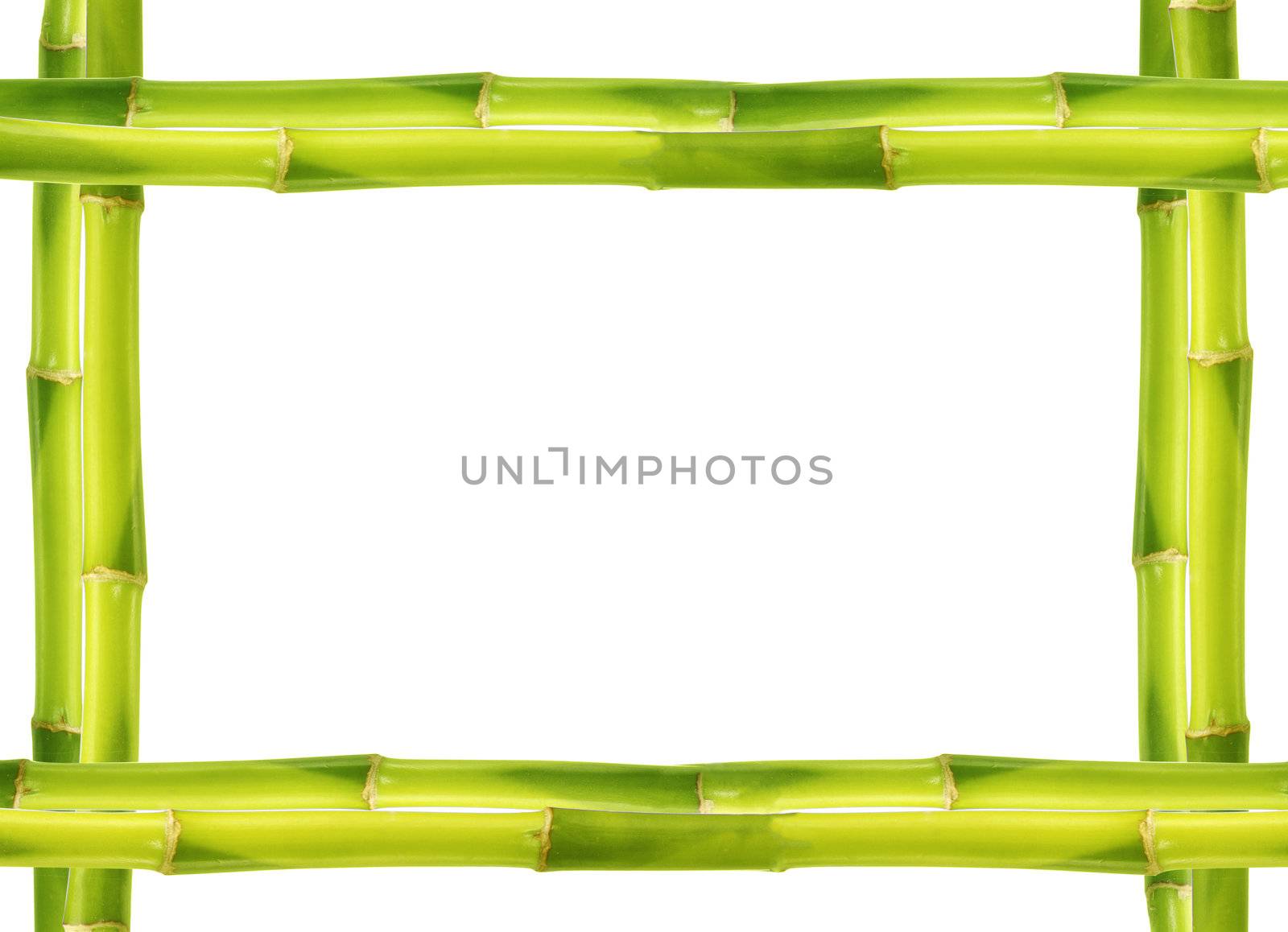 Bamboo frame made of stems