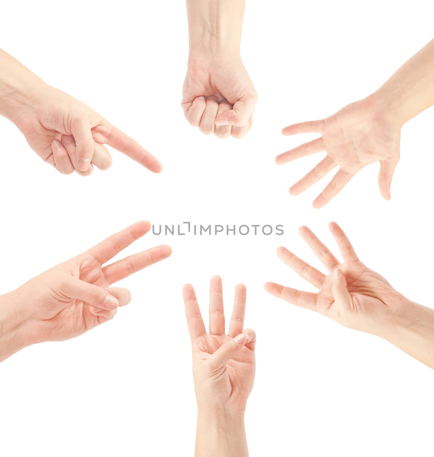 Counting man hands (0 to 5) isolated on white background