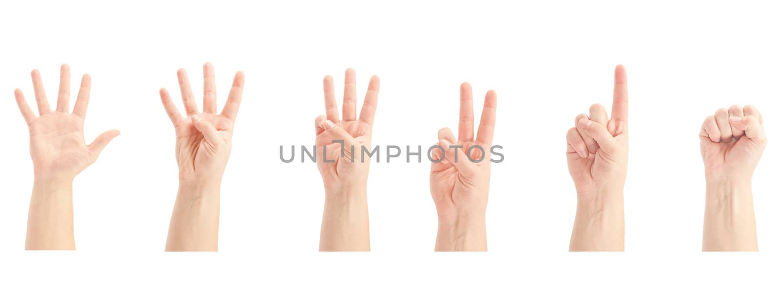 Counting man hands (0 to 5) isolated on white background