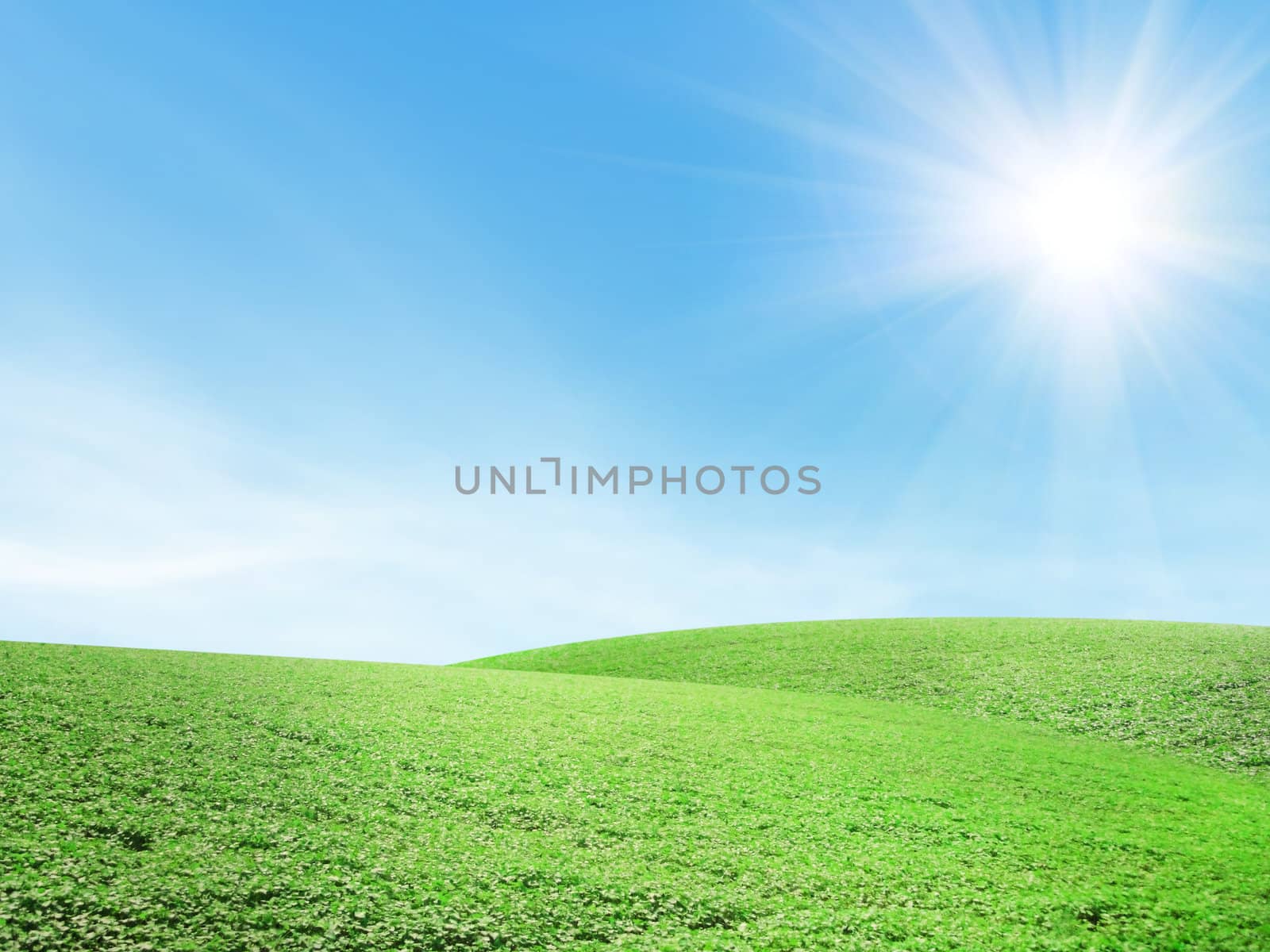 Beautiful summer landscape