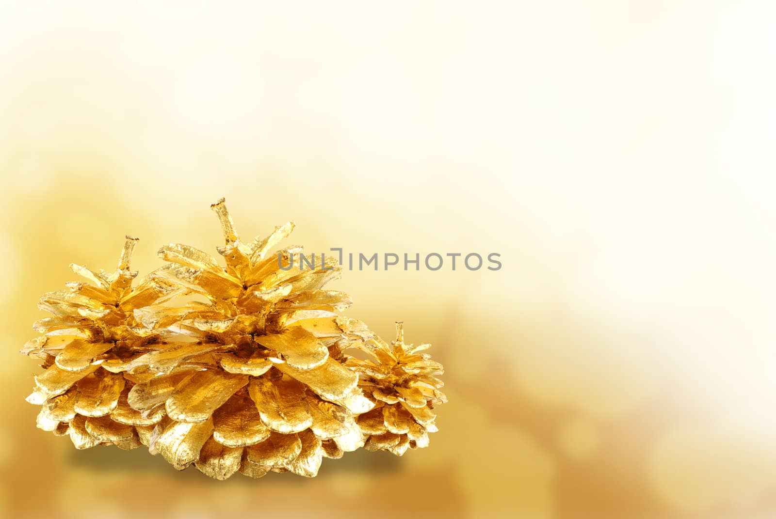 Golden pine cone isolated on white