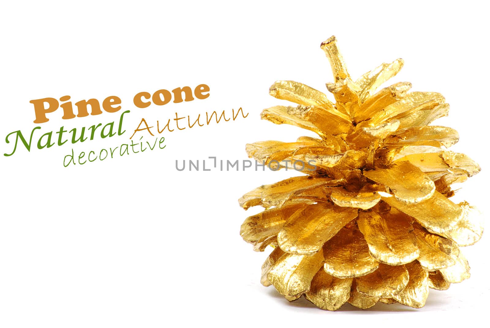 Golden pine cone isolated on white
