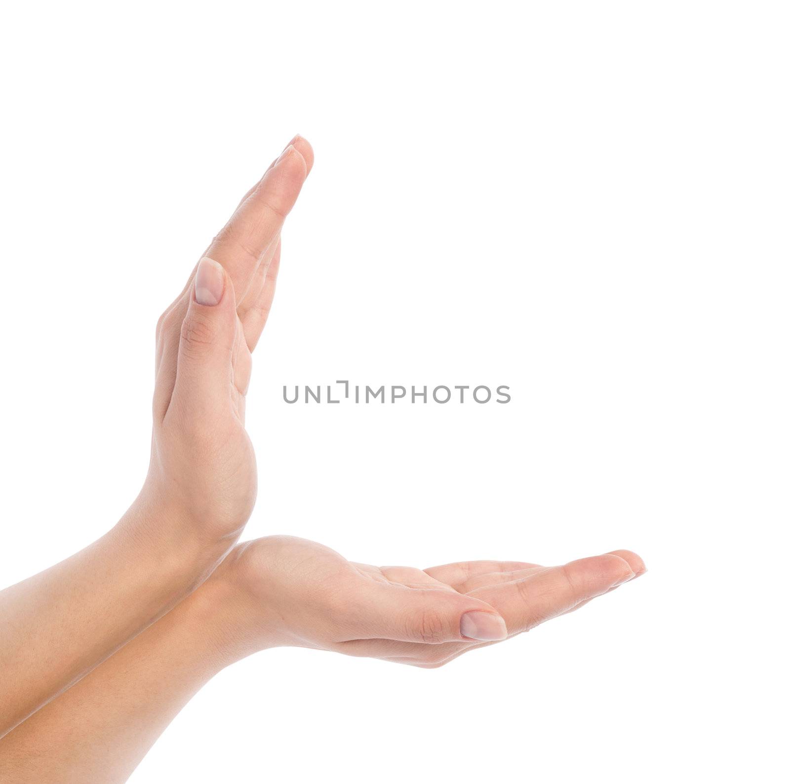 Two hands protecting something isolated on white.