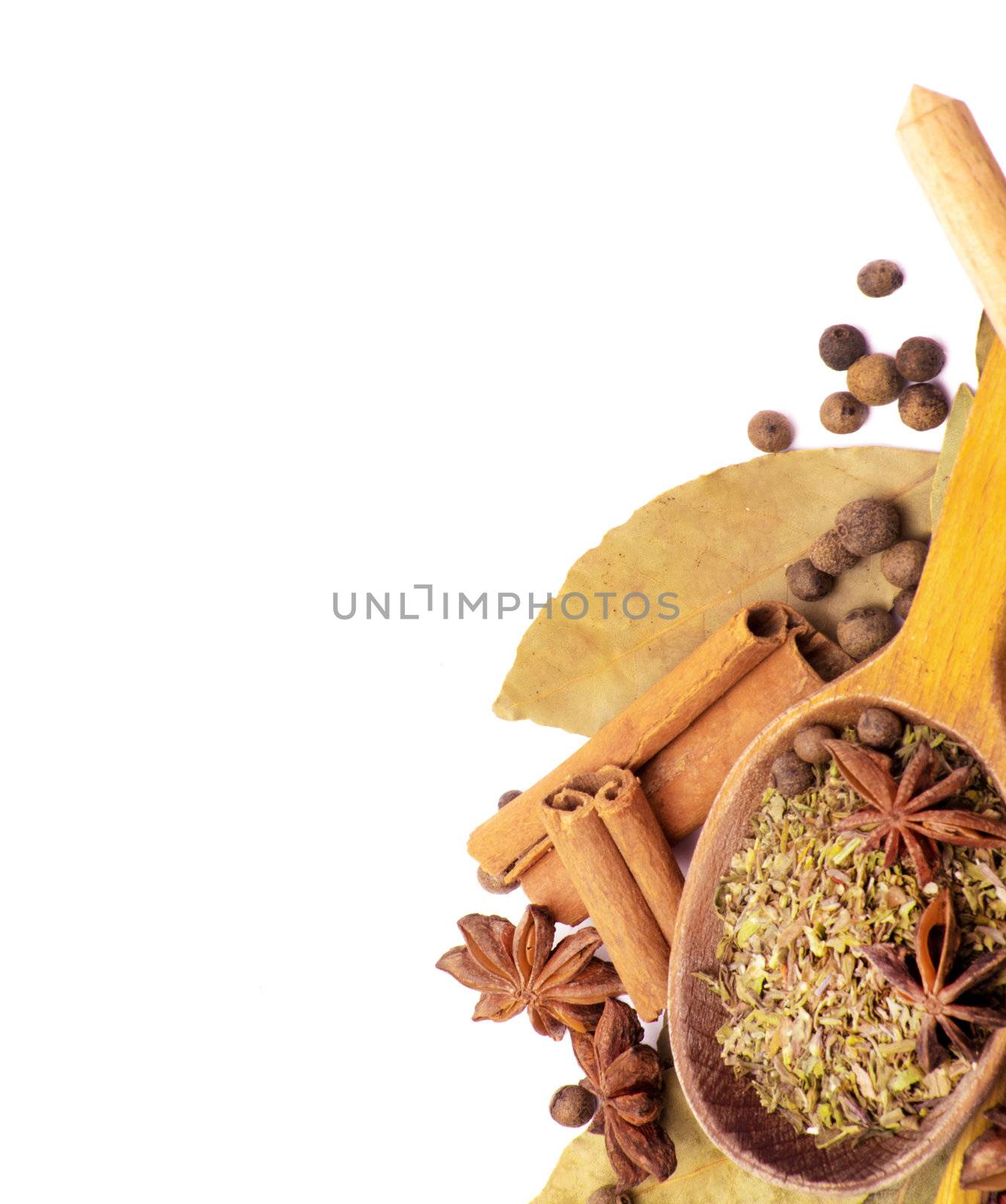 Spices border isolated on white
