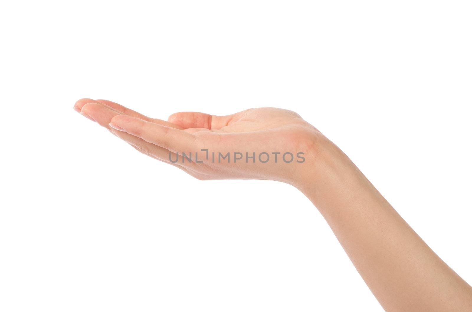Close-up of beautiful woman's hand, palm up. Isolated on white background