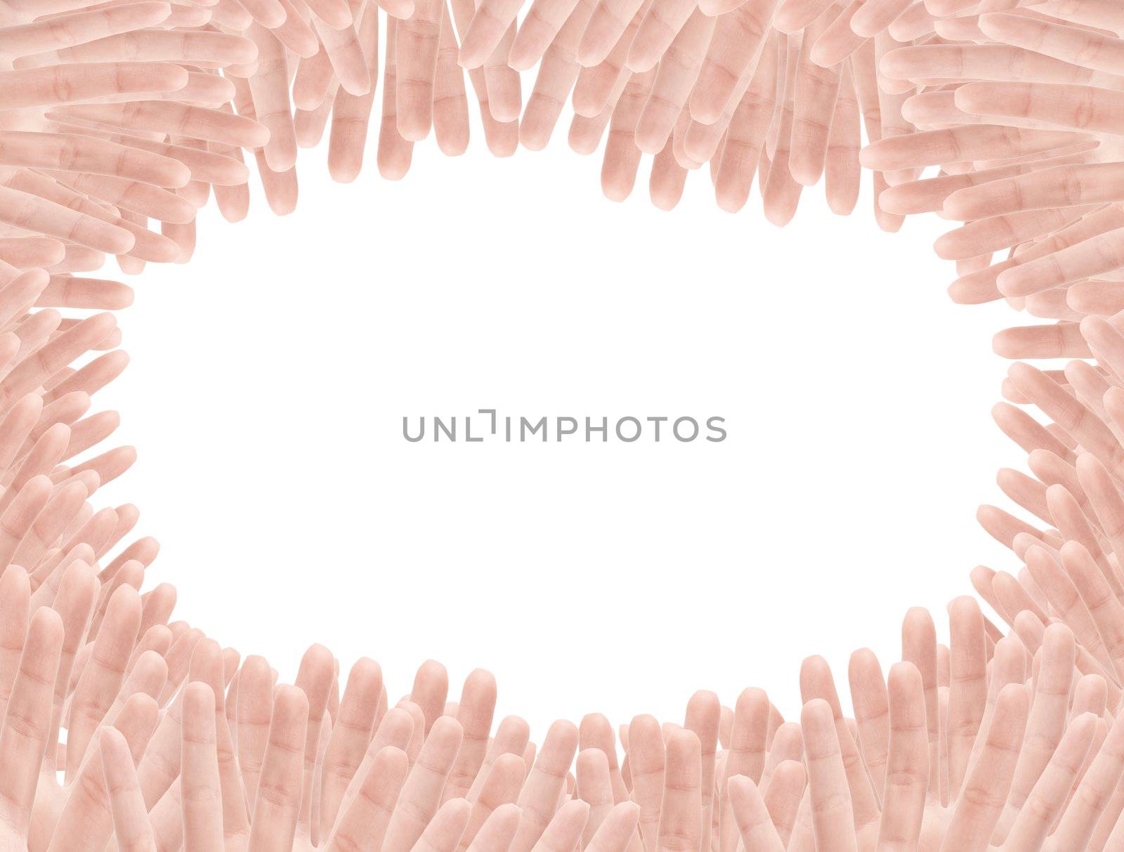 Open woman hand or number five isolated on white