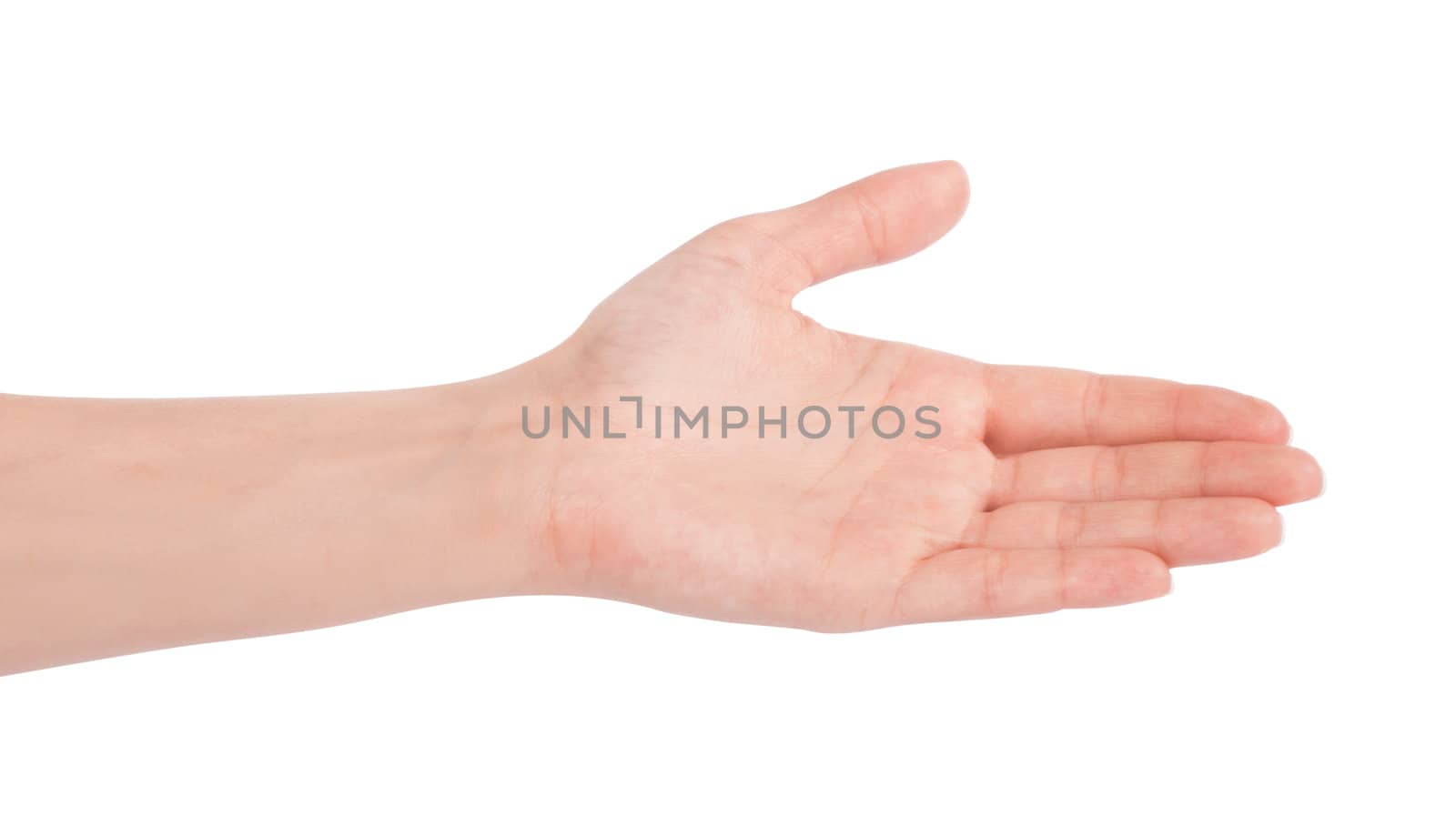Empty open woman hand on white background