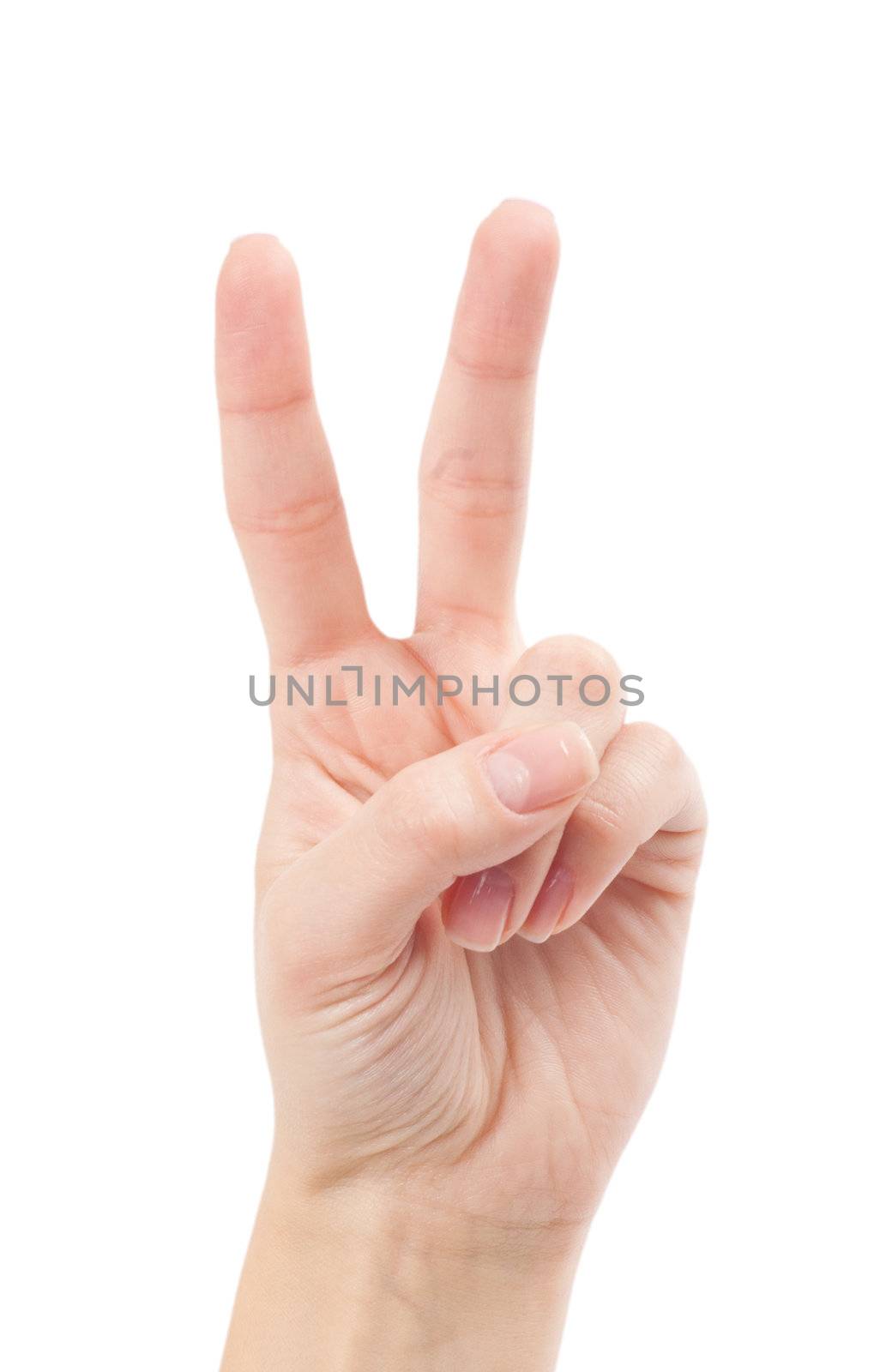 Hand with two fingers up in the peace or victory symbol. Also the sign for the letter V in sign language. Isolated on white.