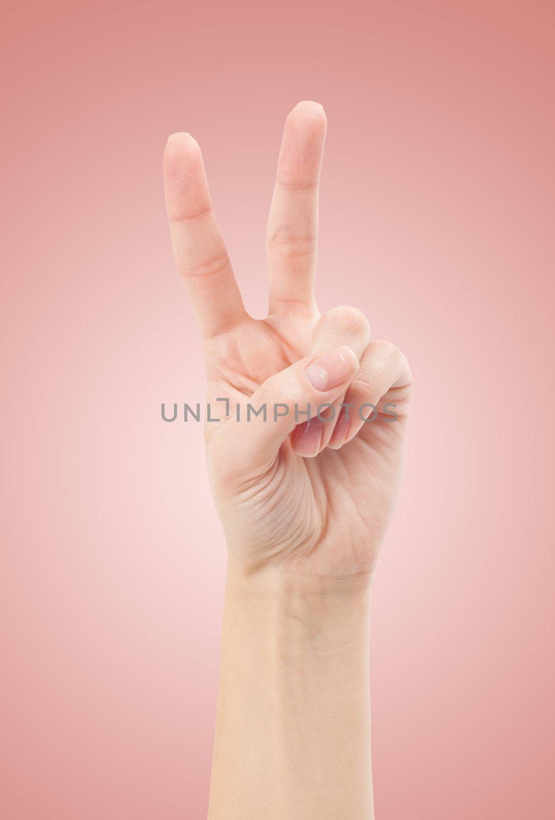 Hand with two fingers up in the peace or victory symbol. Also the sign for the letter V in sign language. Isolated on white.