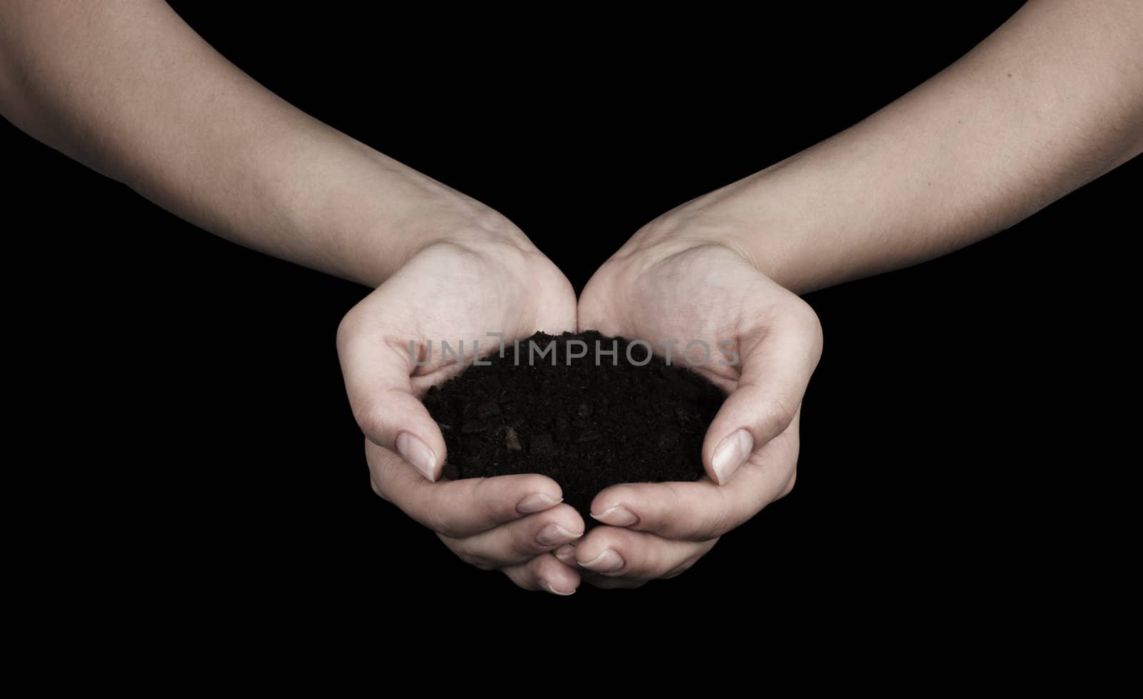 Brown Land and humman hand (on hand)