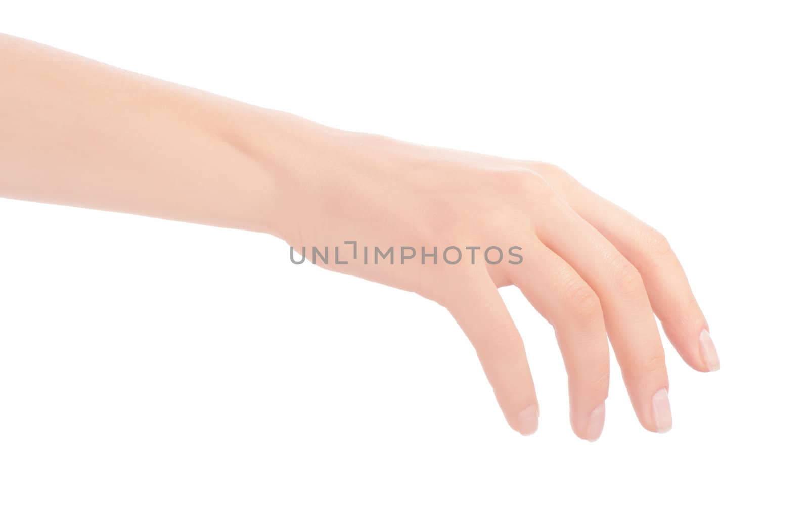 Empty open woman hand on white background