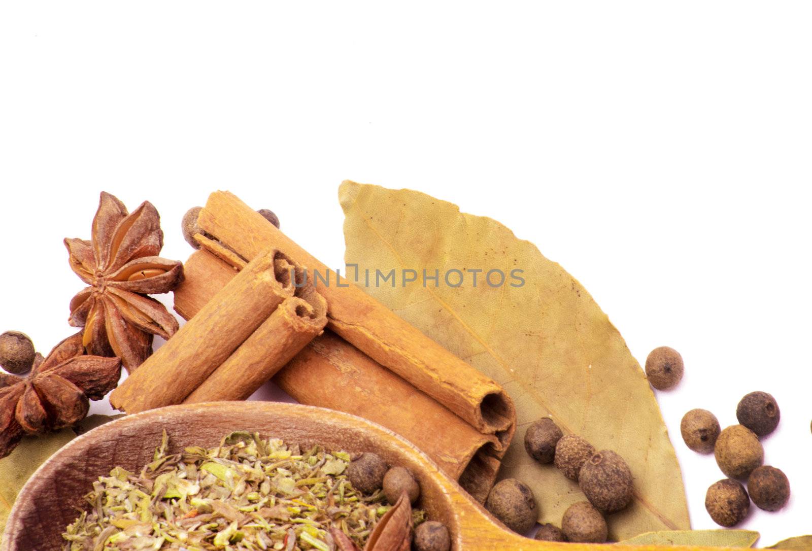 Spices border isolated on white