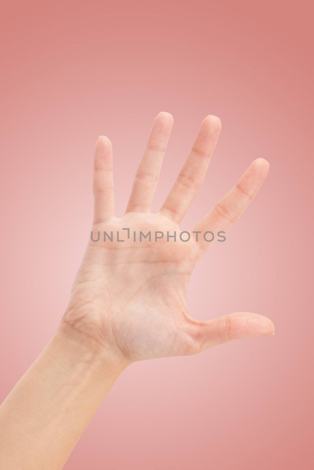 Open woman hand or number five isolated on white 