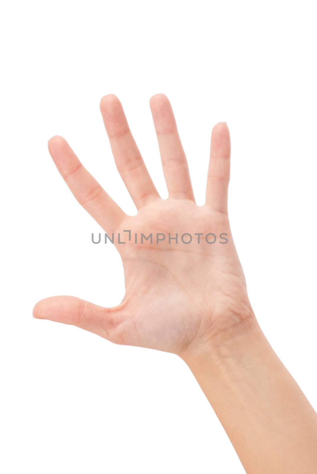 Open woman hand or number five isolated on white 