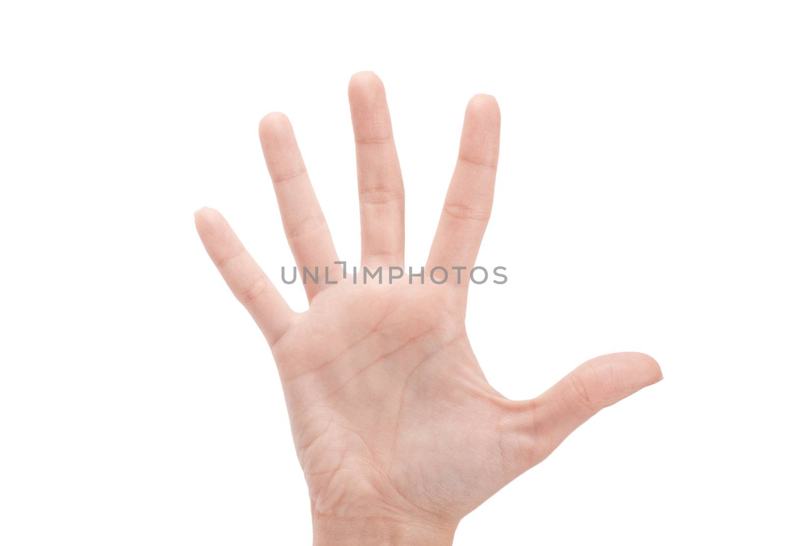 Open woman hand or number five isolated on white