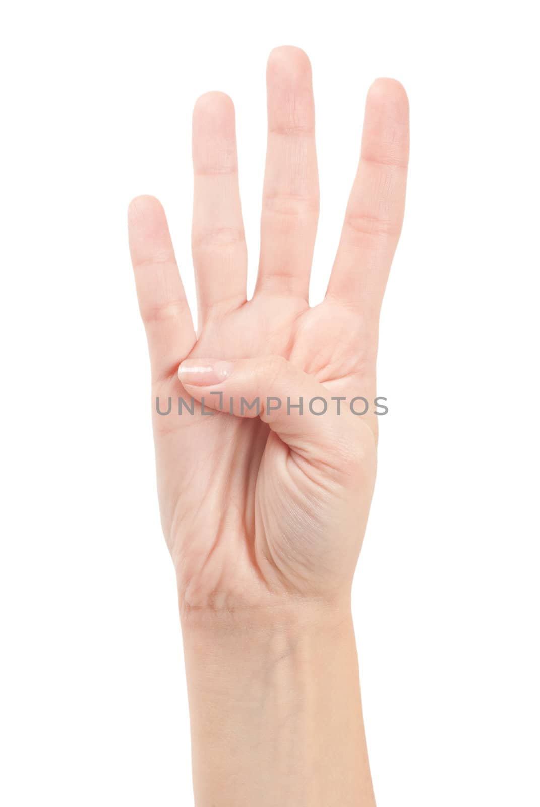 Hand Gesture - Number Four isolated on white
