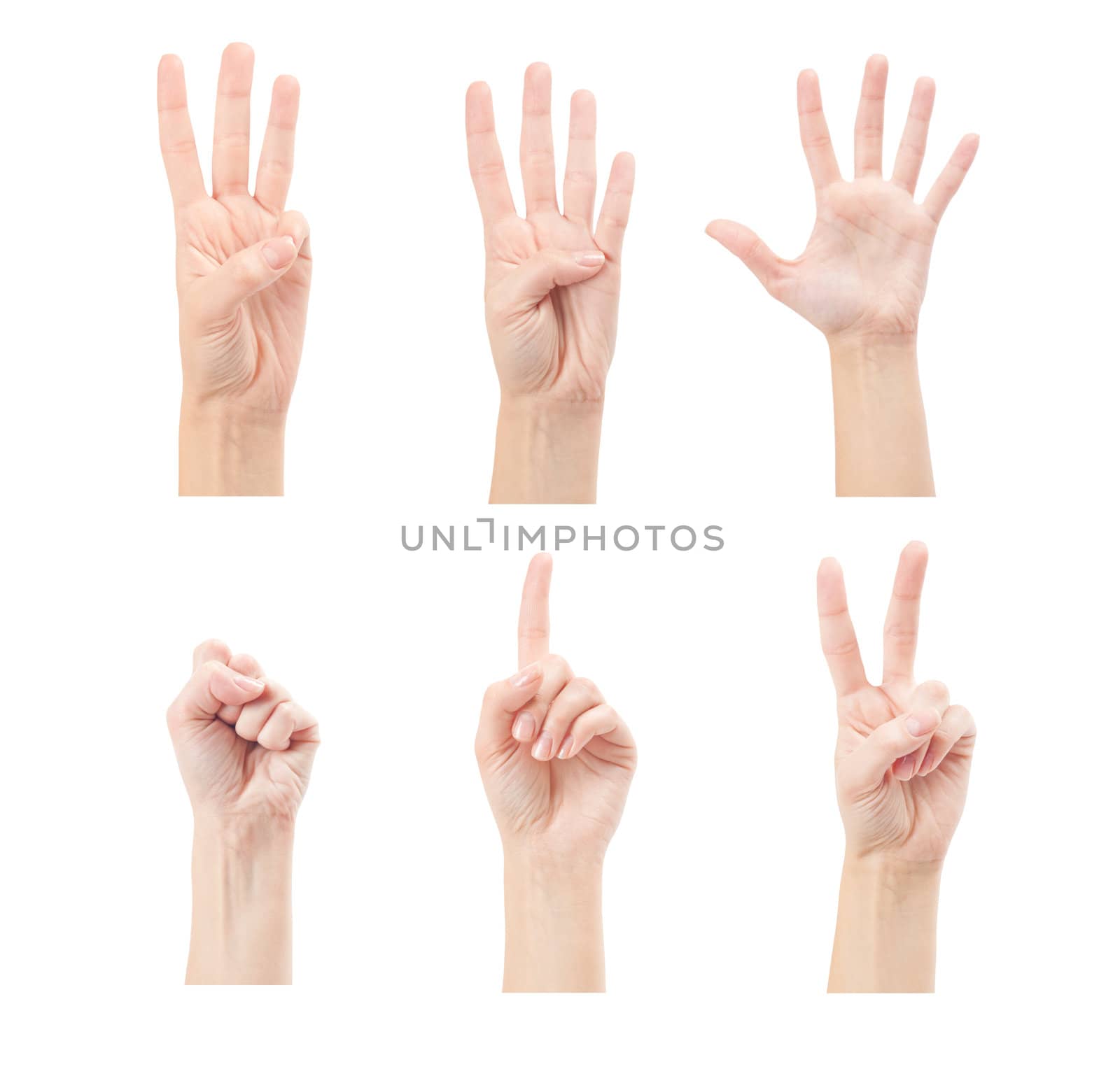 Counting woman hands (0 to 5) isolated on white background