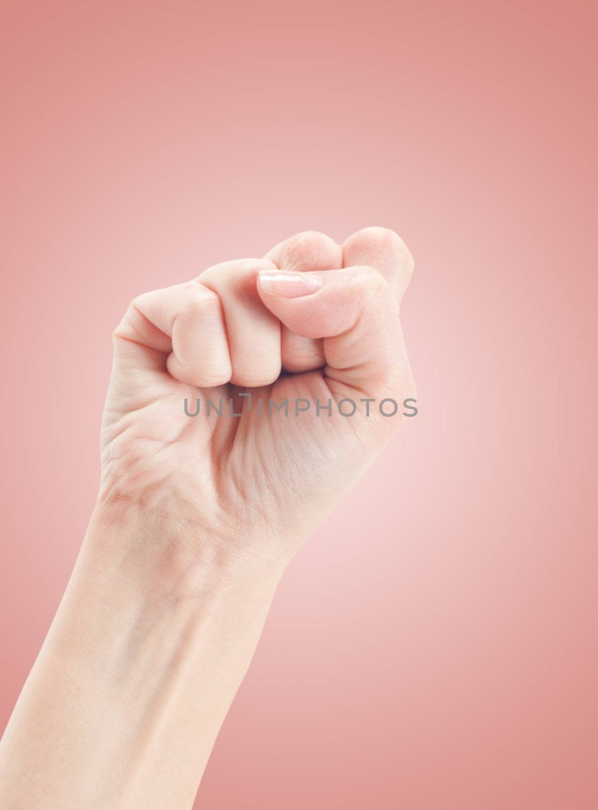 Fist. Gesture of the hand on pink background.