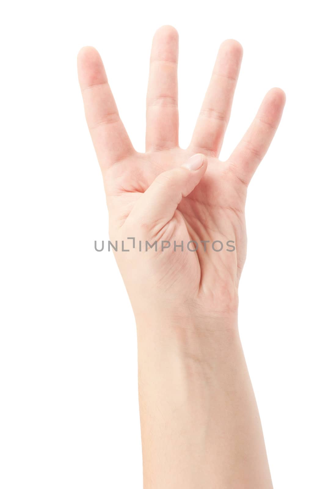 Hand Gesture - Number Four isolated on white