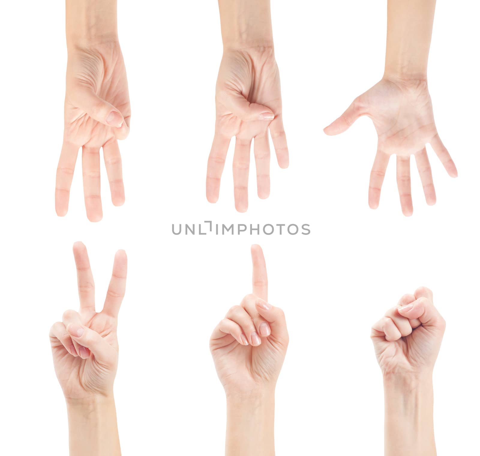 Counting woman hands (0 to 5) isolated on white background