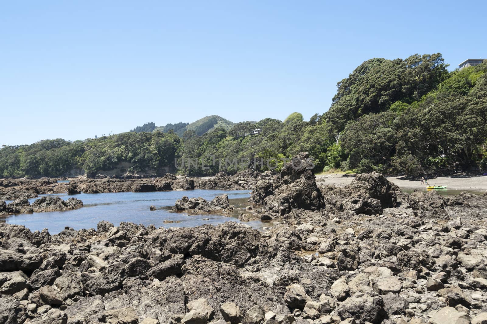 Isolated location, rugged bay in New Zealand.