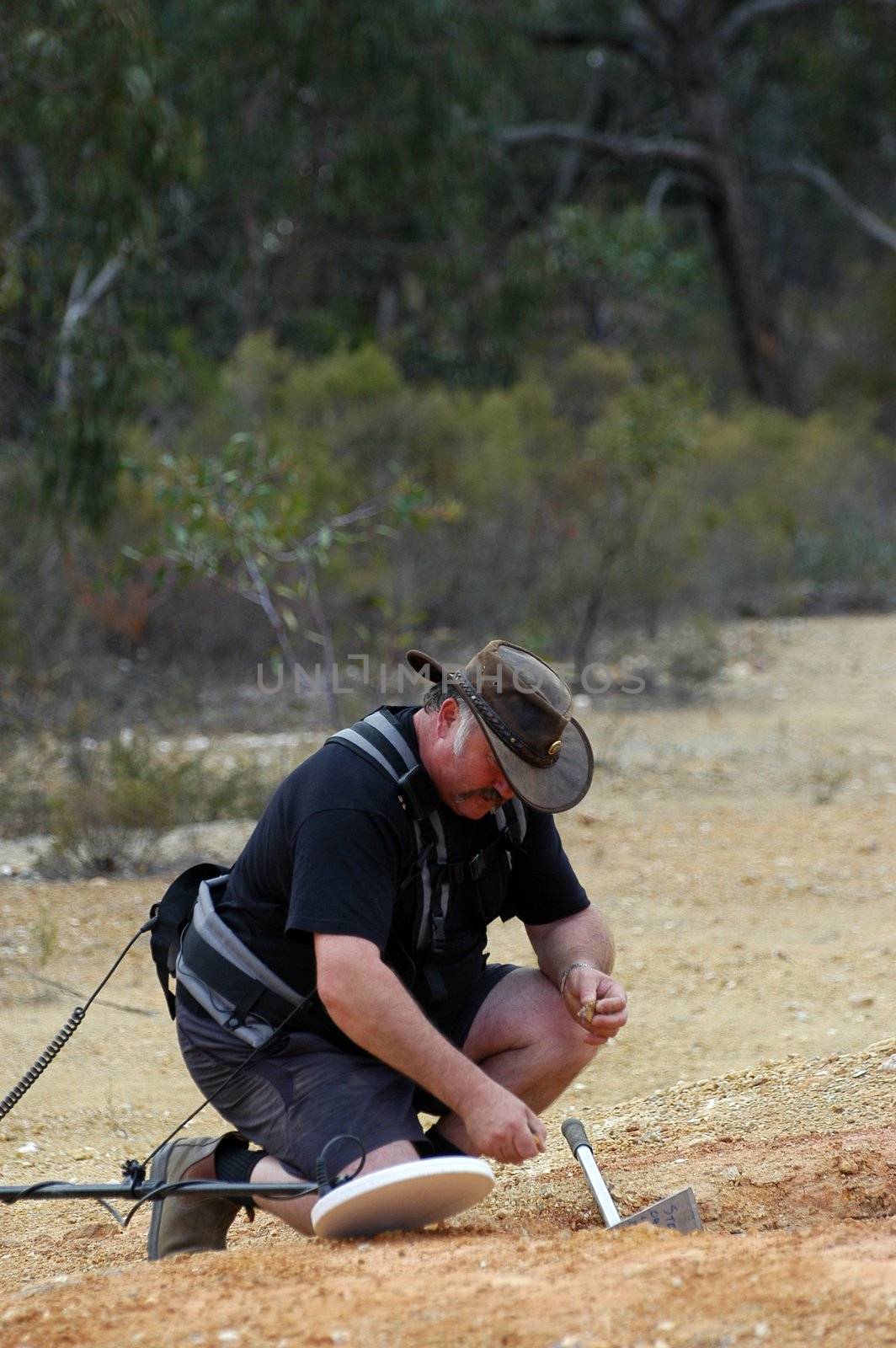 In search of gold nuggets by gillespaire