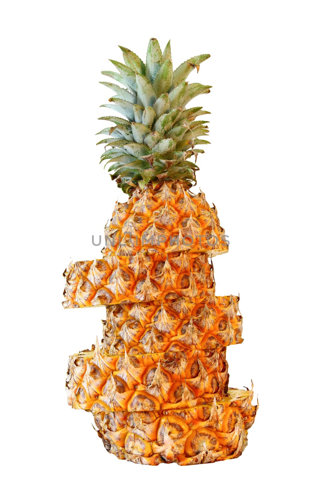 Pineapple by bajita111122