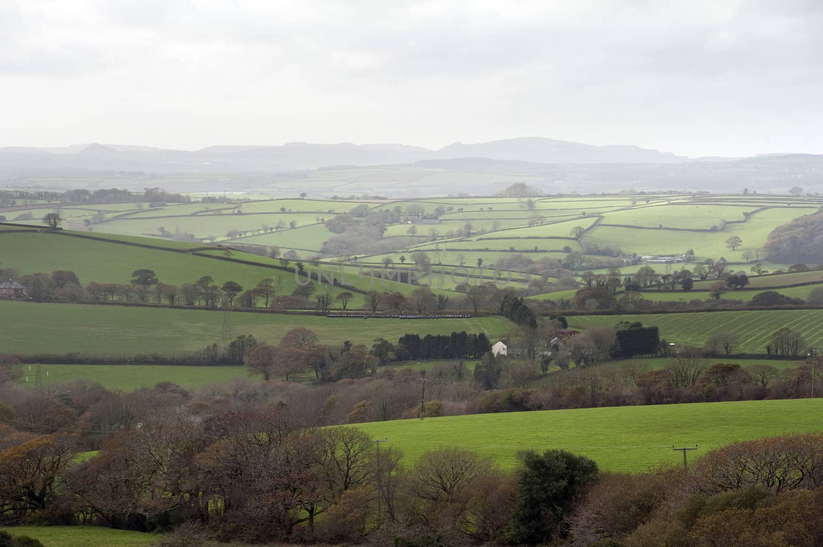Misty Cornish landscape with beautiful lush green pastures and gently rolling hills on an overcast day