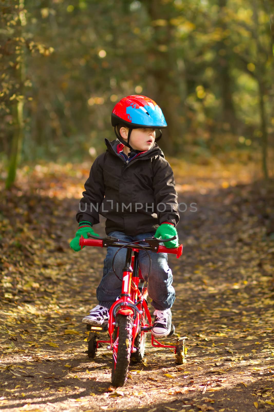 little boy riding his bike through woodland trail