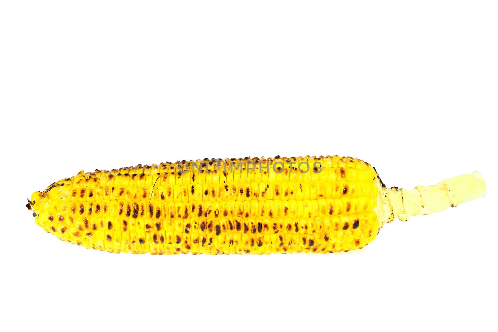 Appetizer grilled corn in white background