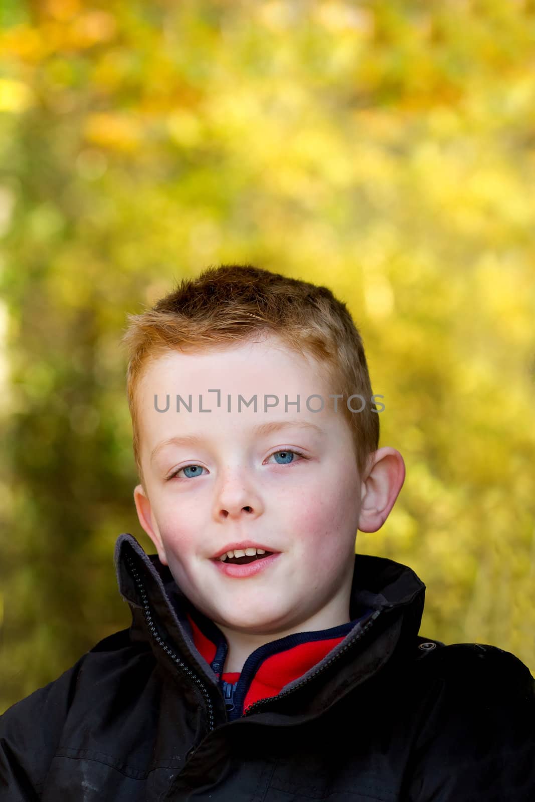 Happy boy in the woods during Autumn