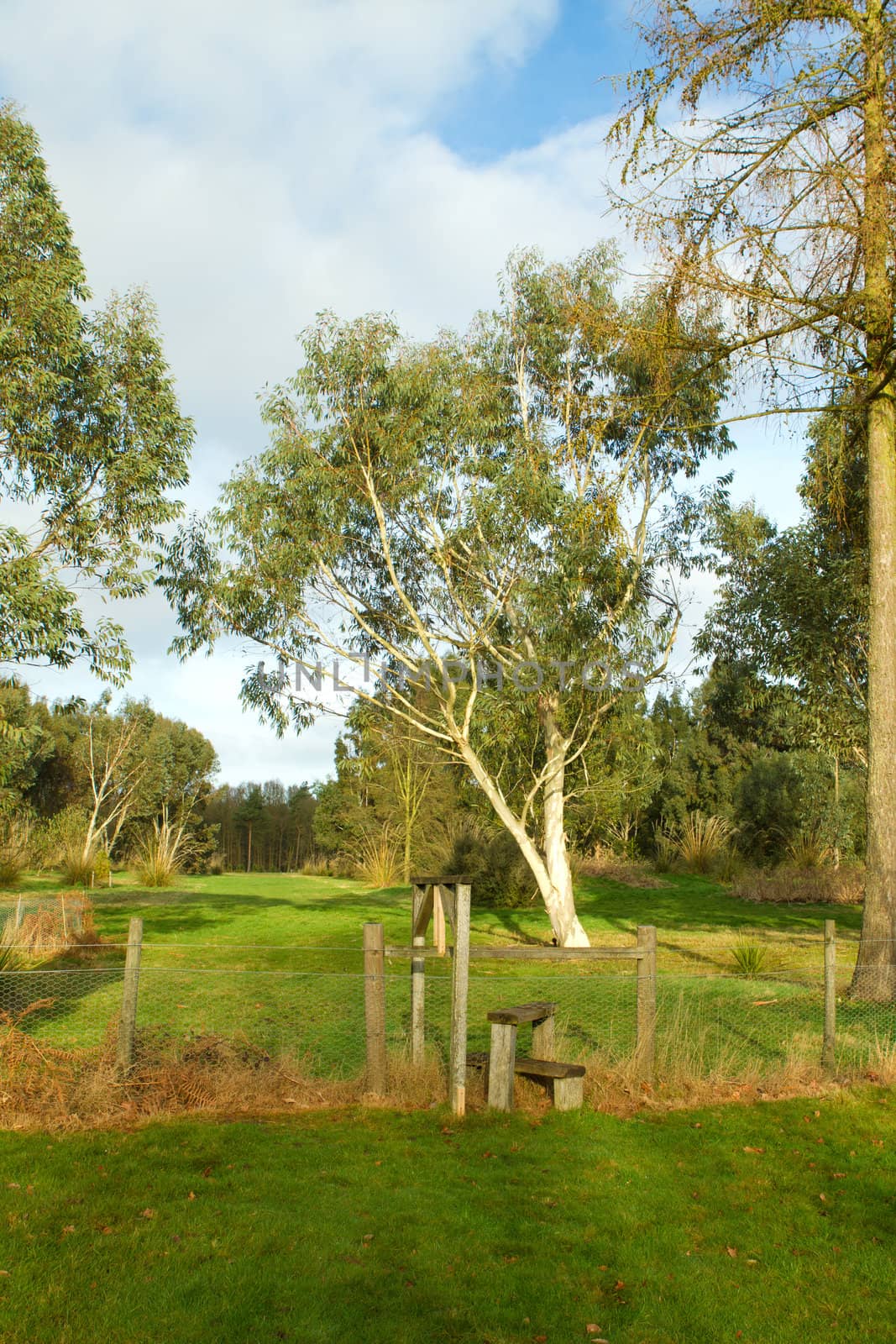 crossing point in a countryside scene