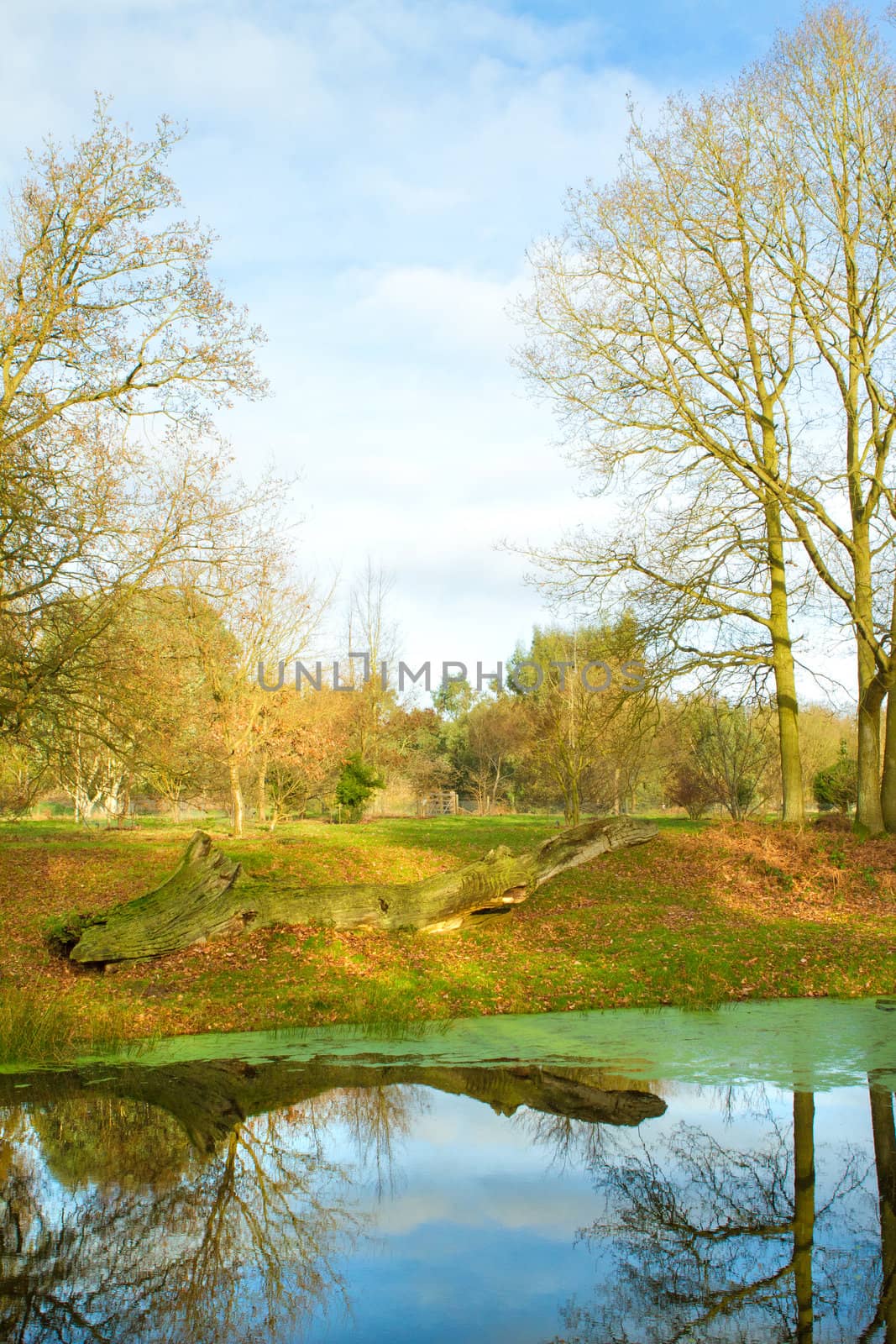 english countryside scene on a cold winters day