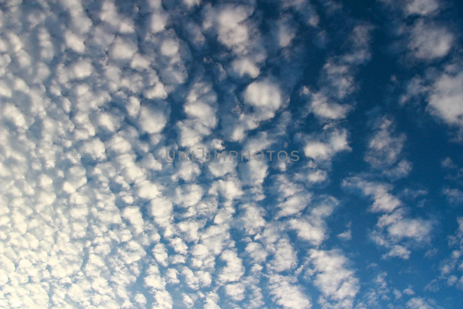 Background of cloud. by bajita111122
