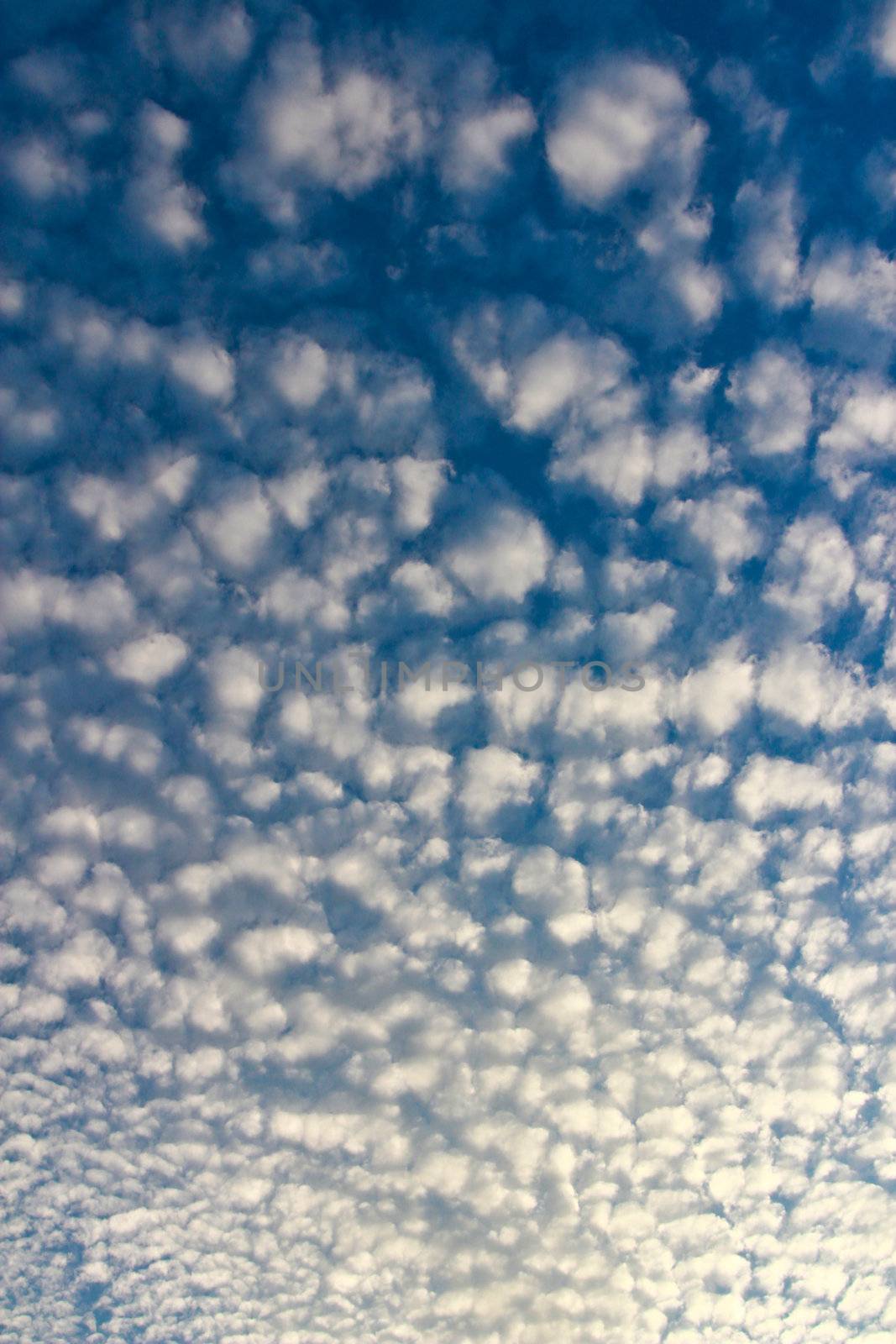 Background of cloud. by bajita111122
