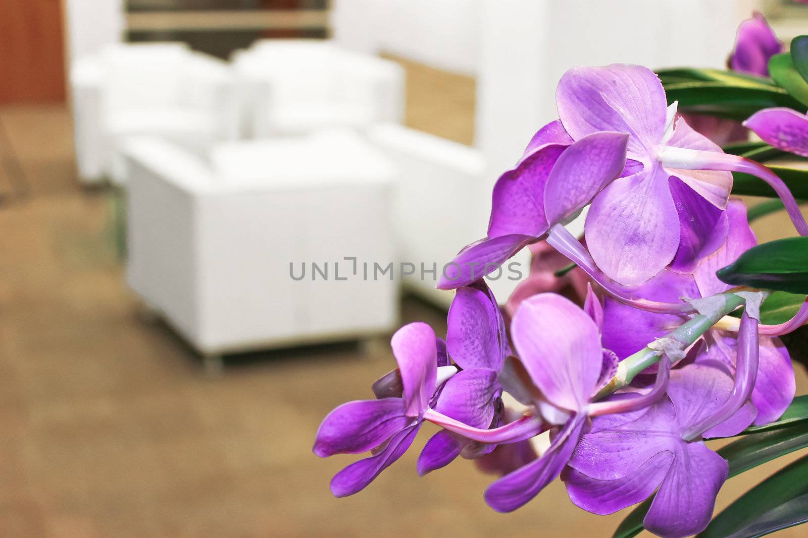 Flowers in the office interior