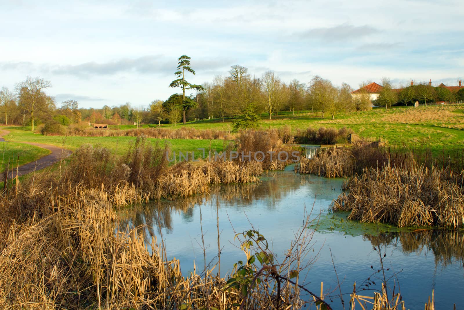 english countryside scene on a cold winters day